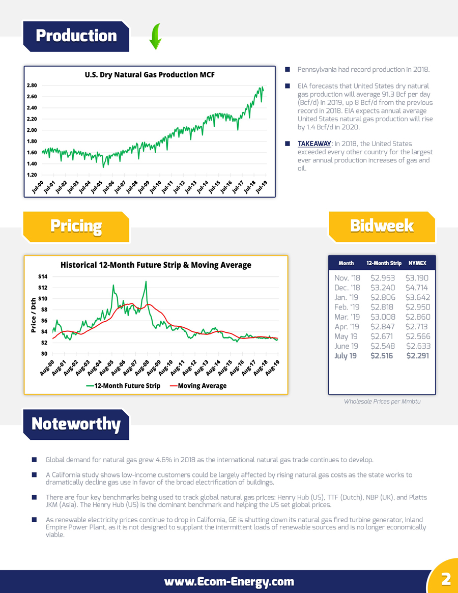 Ecom-Energy's July 2019 Market Update - Page 2