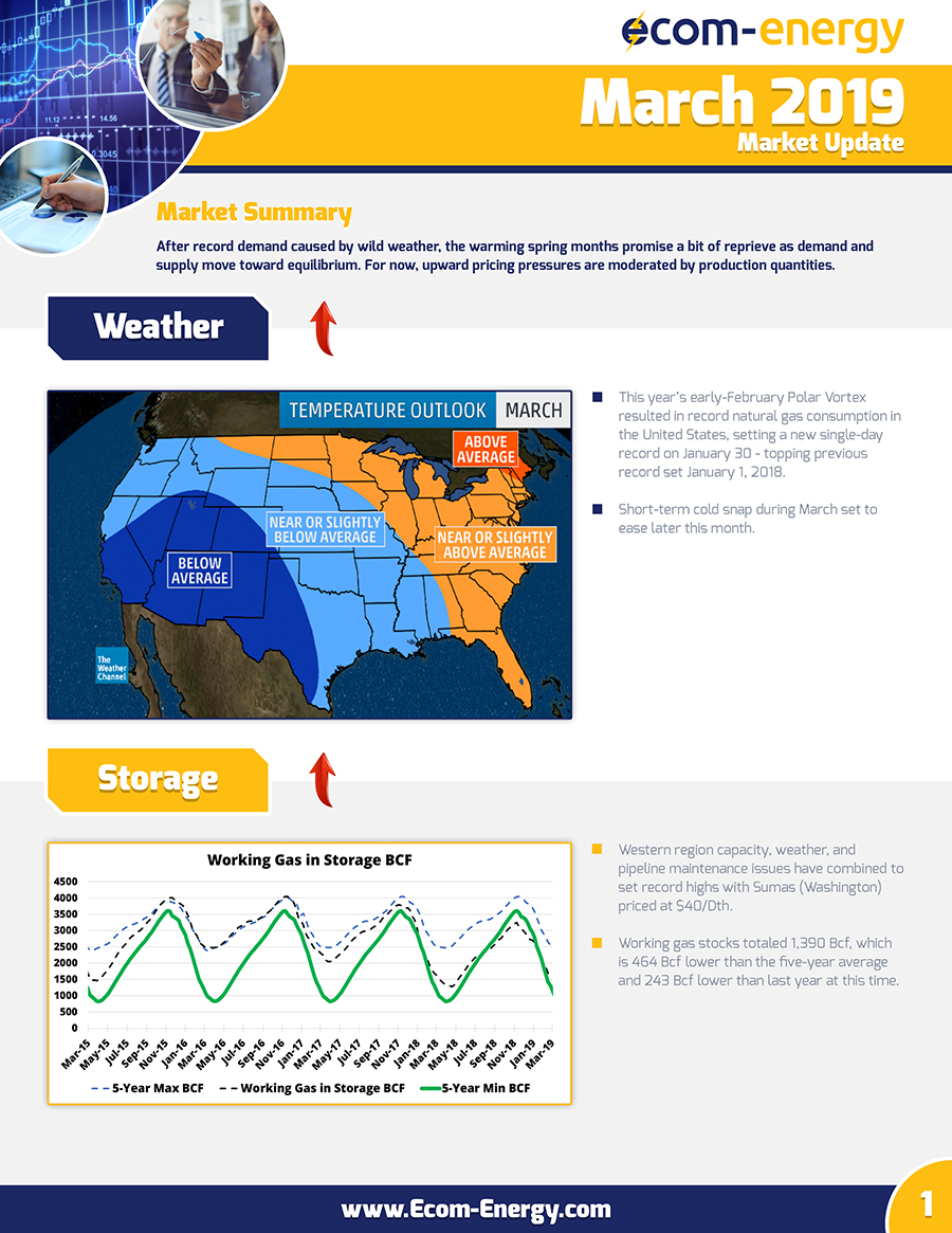 Ecom-Energy's March 2019 Market Update - Page 1