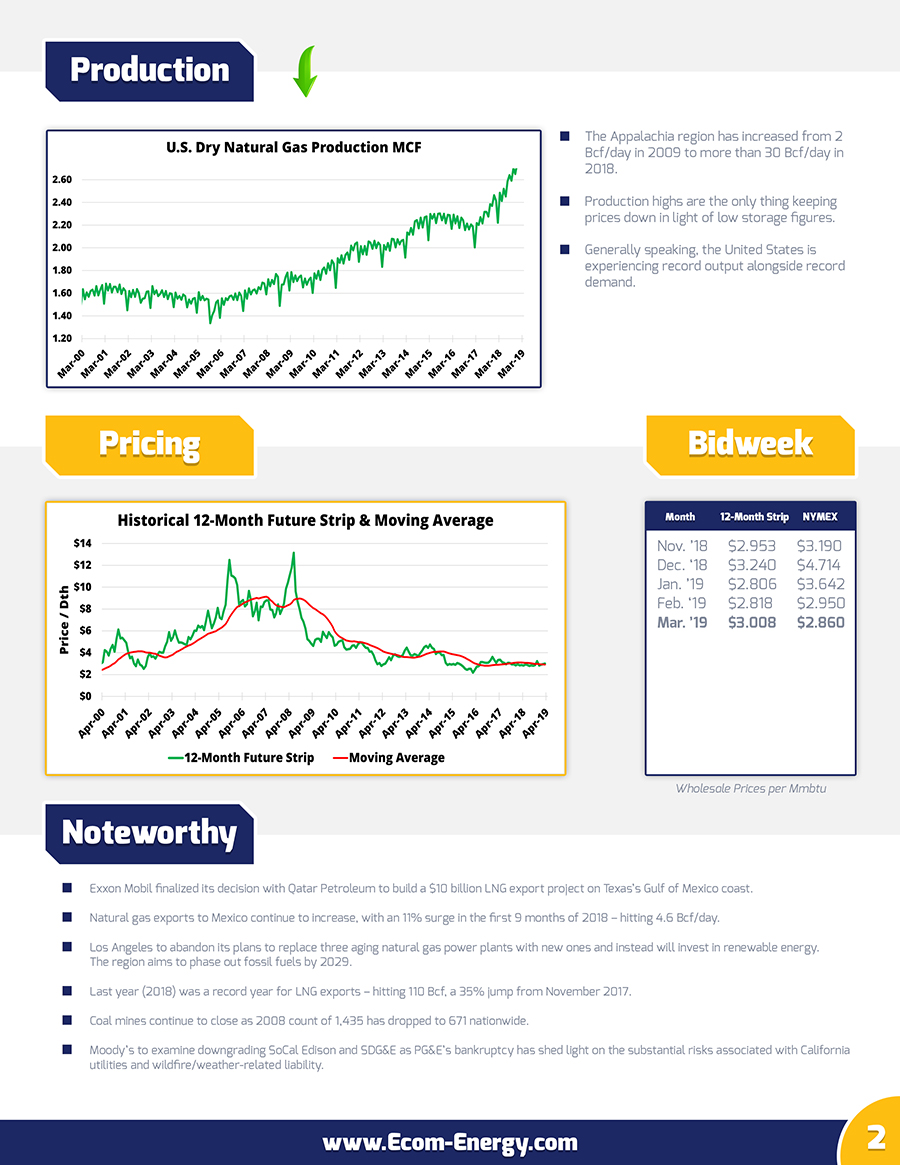 Ecom-Energy's March 2019 Market Update - Page 2