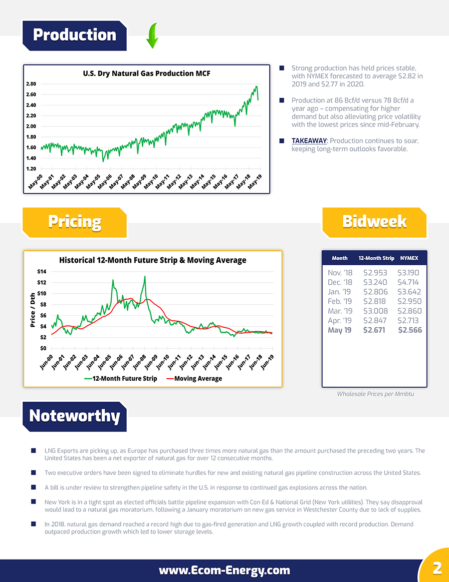 Ecom-Energy's May 2019 Market Update - Page 2